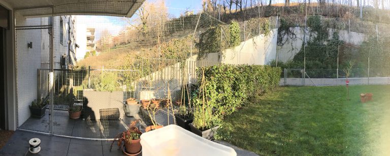securing a garden 1